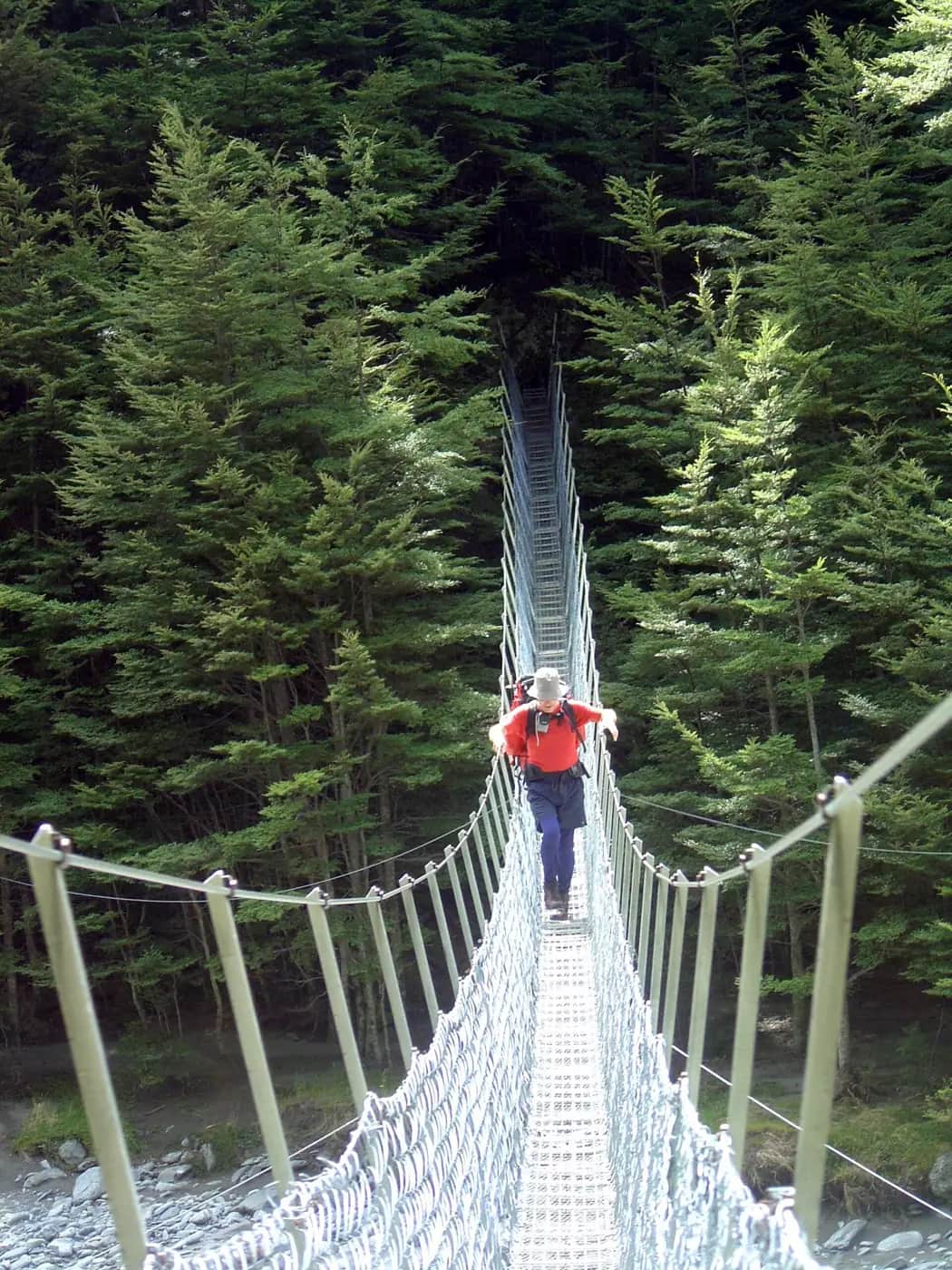 A tramper in a red jacket and sunhat crossing a long wire swing bridge towards the camera, with dense beech forest behind