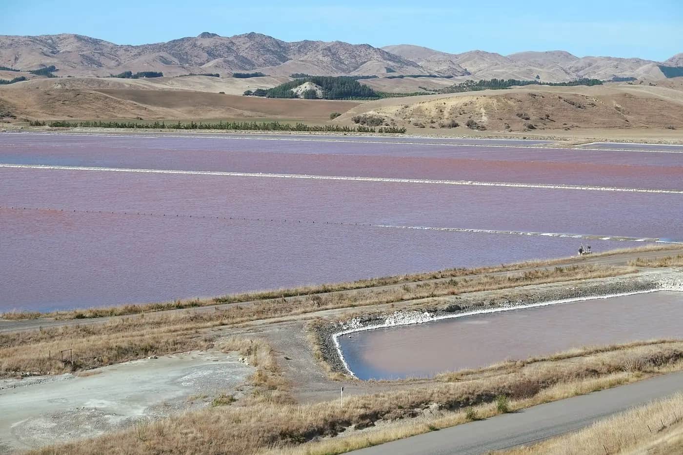 Pink-tinted evaporation and crystallisation ponds at Lake Grassmere saltworks in Marlborough, with dry hills behind