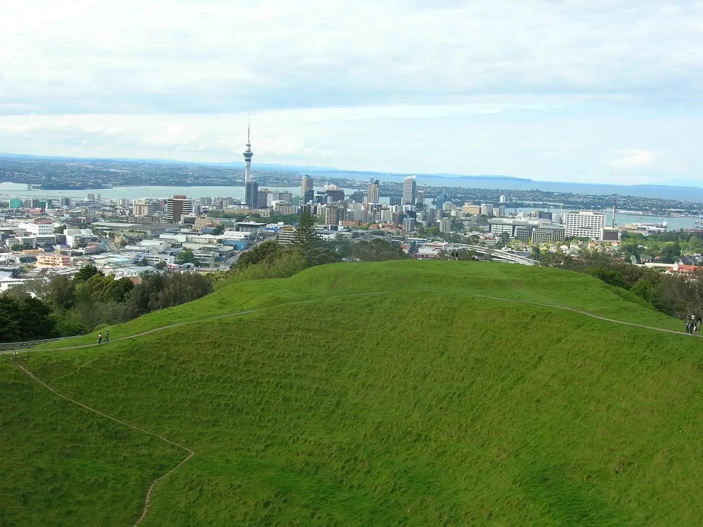 The grassy crater of Maungawhau Mount Eden with Auckland city and the harbour beyond
