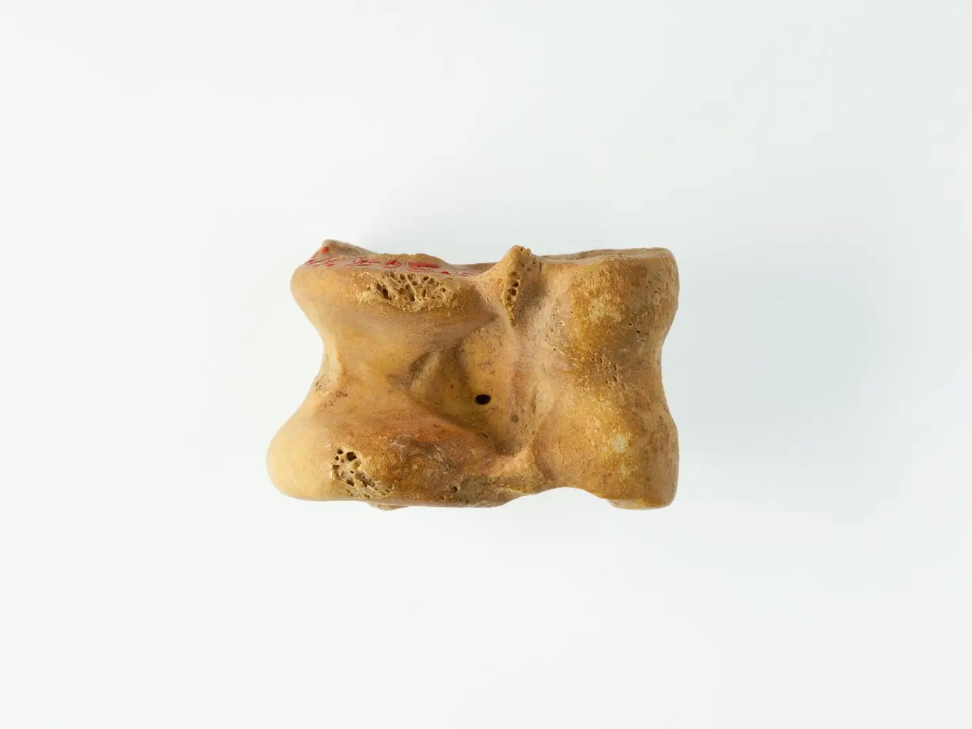An ancient knucklebone gaming piece, a small brownish ankle bone with bumpy uneven sides, on a white background