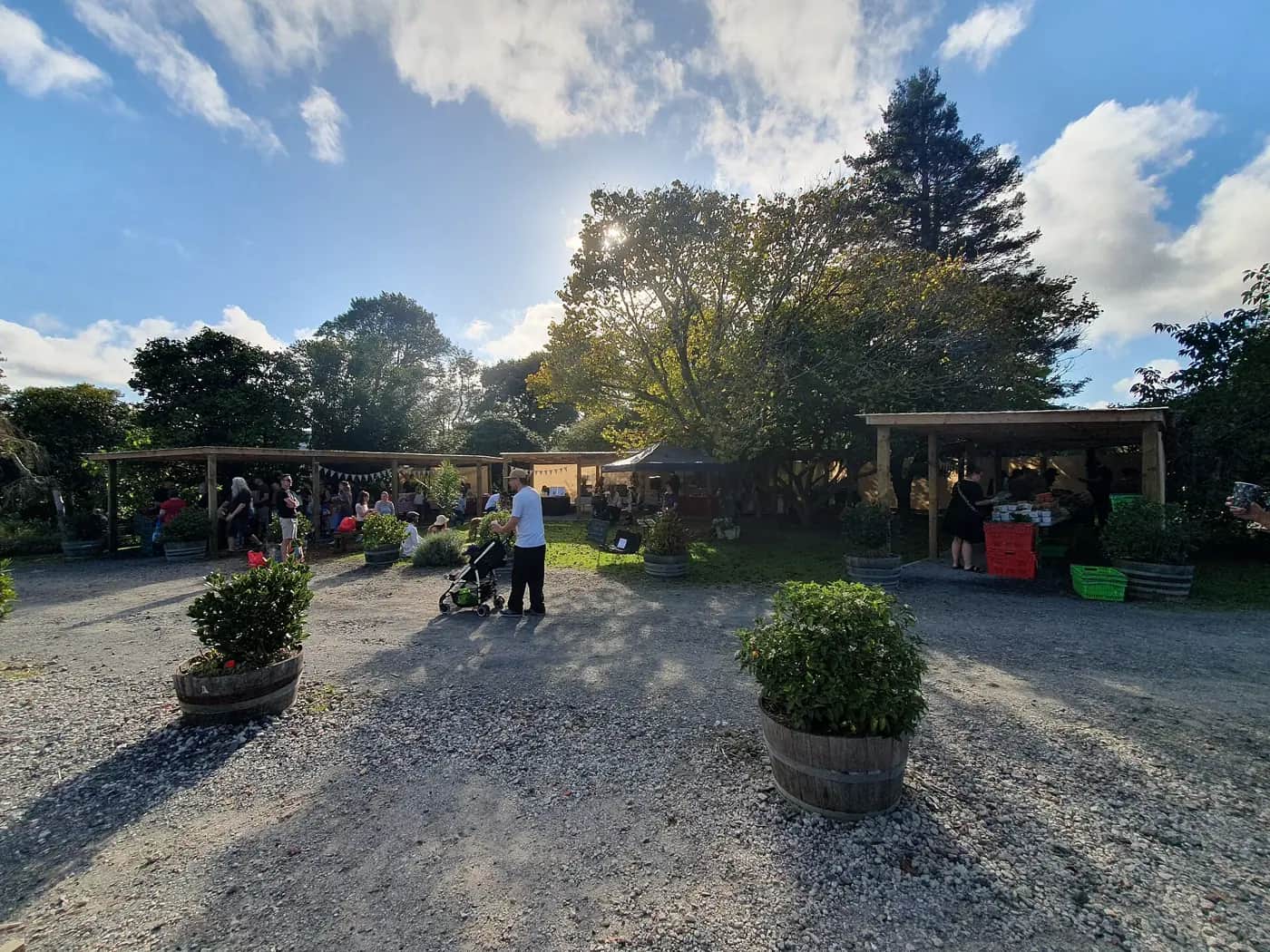 An outdoor farmers' market under trees, with wooden stall shelters, planter barrels and crates of produce on a sunny day