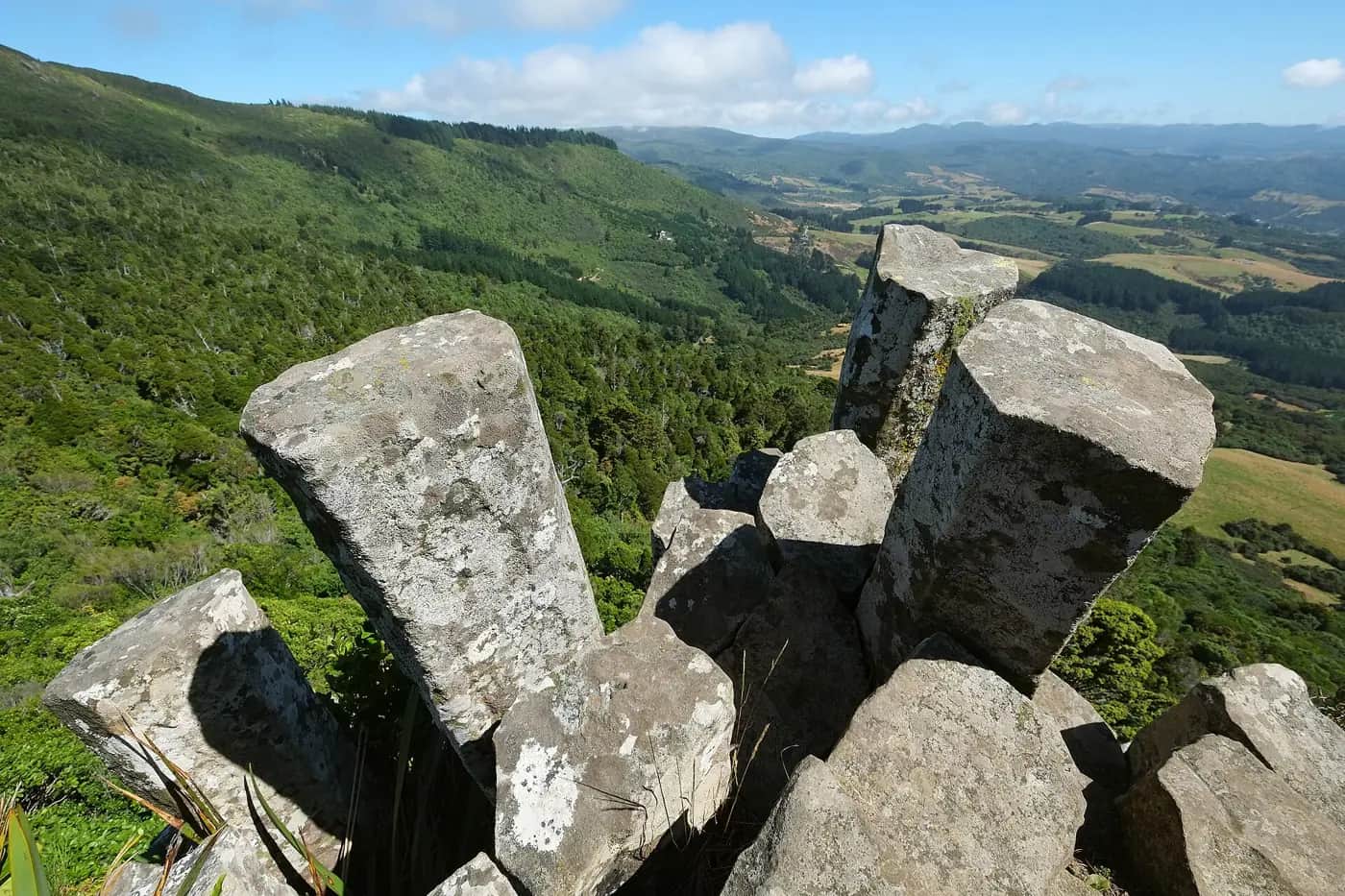 Tall grey stone columns with flat many-sided tops stand above a green bush-covered valley near Dunedin
