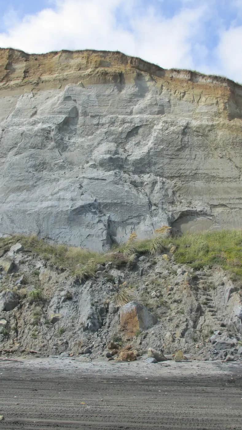 A tall cliff of grey and sandy-coloured sediment layers above a dark-sand beach near Kai Iwi, Whanganui
