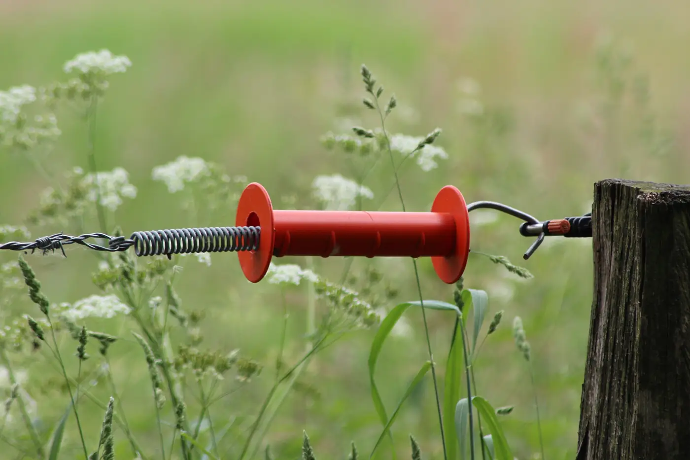 A red plastic electric fence gate handle with a spring, hooked to a wooden post in a grassy paddock.