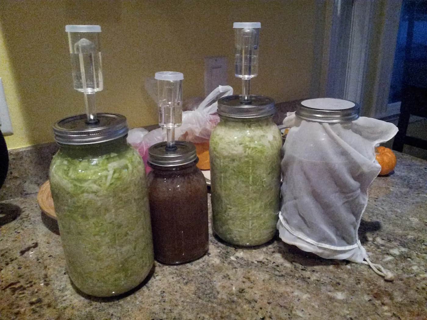Glass jars of shredded cabbage fermenting into sauerkraut, with airlock lids on top
