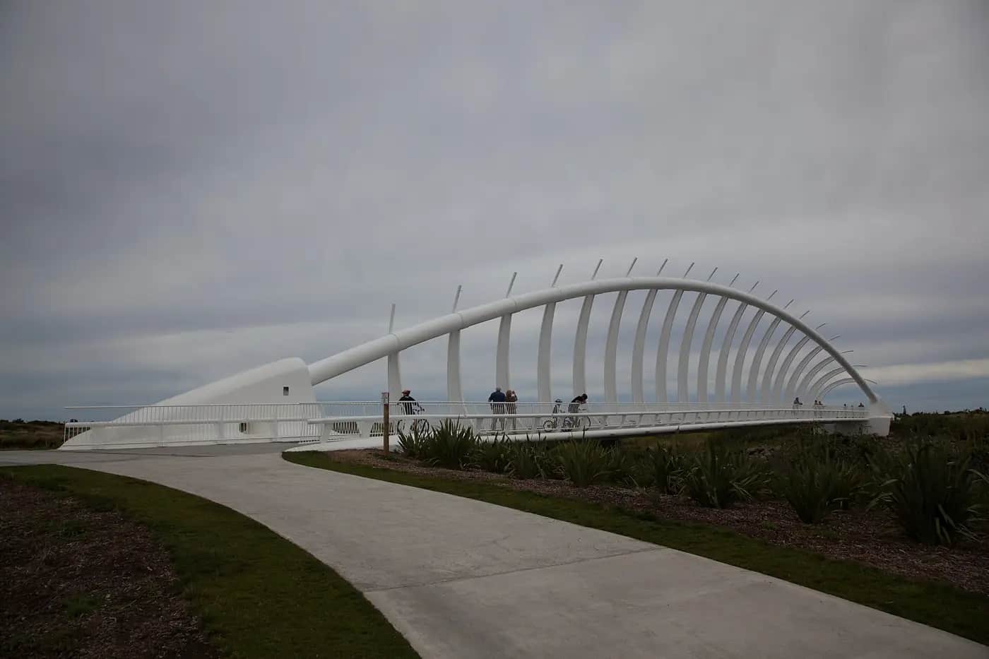 The white Te Rewa Rewa footbridge in New Plymouth, with curved ribs arching over a walkway beside flax plants.